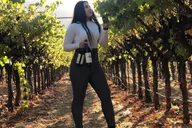 Napa and Sonoma Wine Tour by Private SUV 6 hr thumbnail 6