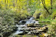 Pigeon Forge Newfound Gap Jeep Tour thumbnail 5