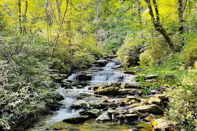 Pigeon Forge Newfound Gap Jeep Tour - Image 5