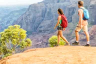 Kauai Waimea Canyon and Wailua River Tour thumbnail 3