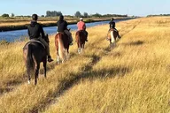 Miami Horseback Riding Countryside Tour 1 hr thumbnail 6