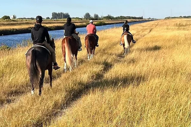 Miami Horseback Riding Countryside Tour 1 hr - Image 6