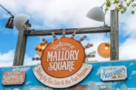 Fort Lauderdale Key West Day Trip thumbnail 4