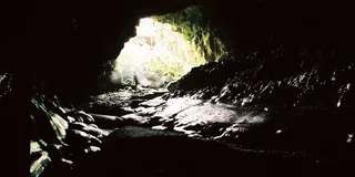 Hilo Private Van Tour