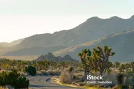 Las Vegas Grand Canyon West Rim and Joshua Tree Tour thumbnail 5