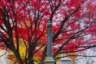 Salem Mysteries & Murders Walking Tour thumbnail 4