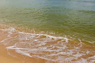 Oahu Grand Circle Island Tour thumbnail 3