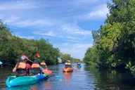 Miami Everglades National Park Kayaking and Hiking Tour thumbnail 1