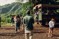 Kaneohe Jungle Expedition Tour thumbnail 4