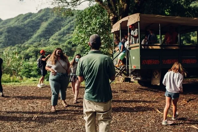 Kaneohe Jungle Expedition Tour - Image 4