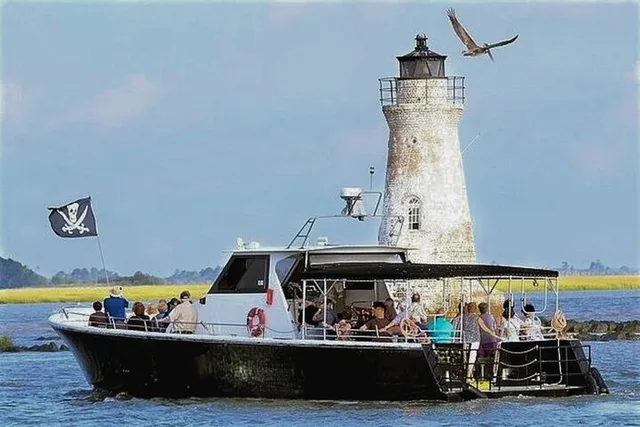 Savannah Tybee Island Dolphin Cruise - Image 3