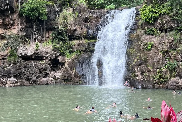 Oahu North Shore Small Group Tour - Image 1