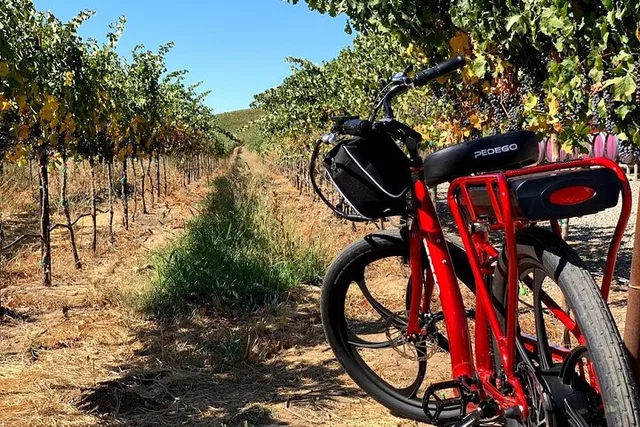 Livermore Electric Bike Rental - Image 6