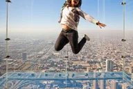 Chicago Attraction Pass with Shedd Aquarium thumbnail 5