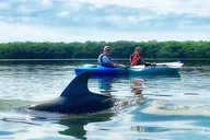Shell Key Preserve Kayak Tour thumbnail 6