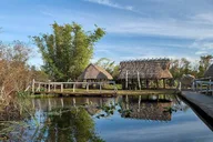 Everglades Eco Adventure with Biologist Walk and Boat Trips thumbnail 4