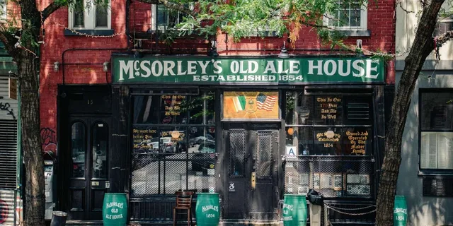 New York City Irish History Walking Tour - Image 3