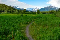 Juneau Mendenhall Glacier Tour thumbnail 6
