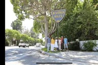 Los Angeles Hollywood and Beverly Hills Tour thumbnail 4