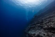 Maui Scuba Diving Molokini Crater 3 hr thumbnail 6