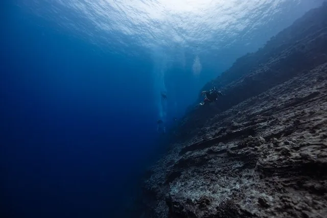 Maui Scuba Diving Molokini Crater 3 hr - Image 6