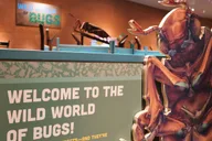 Tucson Science Center Entry Ticket thumbnail 3