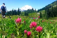 Seattle Mt Rainier Small Group Tour 2 Days thumbnail 1