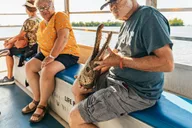 New Orleans Swamp Boat Tour thumbnail 4