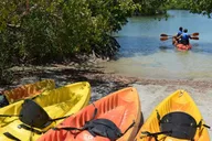 Miami Oleta River State Park Eco Paddle Tour 2 hr thumbnail 4