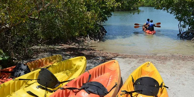Miami Oleta River State Park Eco Paddle Tour 2 hr - Image 4