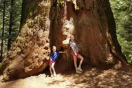 Yosemite Explorer Package 3-Day Adventure thumbnail 5