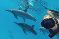 Kona Customizable Boat Adventure thumbnail 5