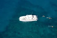 Oahu Whale Watching Trip thumbnail 3