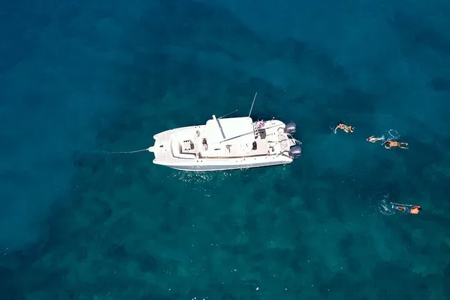 Oahu Whale Watching Trip - Image 3