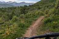 Salt Lake City Mountain eBike Tour thumbnail 3