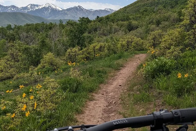 Salt Lake City Mountain eBike Tour - Image 3
