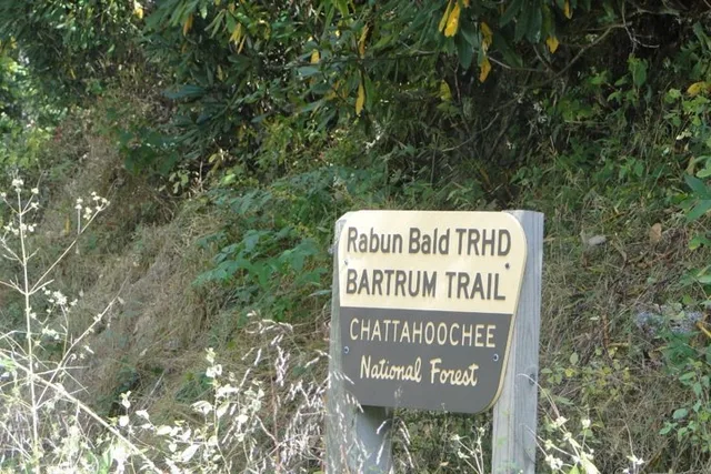 Bartram Trail Hike and Wine Tasting - Image 3