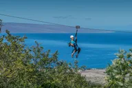 Maui Zipline Adventure in Ka'anapali thumbnail 1