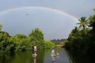 Haleiwa Stand Up Paddle Turtle Tour 90 Min thumbnail 1