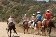 Los Angeles Mulholland Trail Horseback Riding Tour thumbnail 2