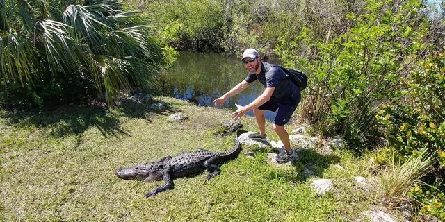 Miami Everglades Airboat and Tram Tour - Image 3