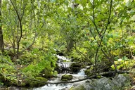 Anchorage Wildlife Tour at Alaska Conservation Center thumbnail 4