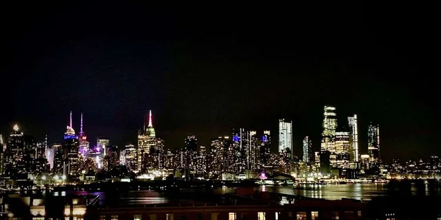 New York Brooklyn Heights and Hamilton Park Night Tour - Image 2