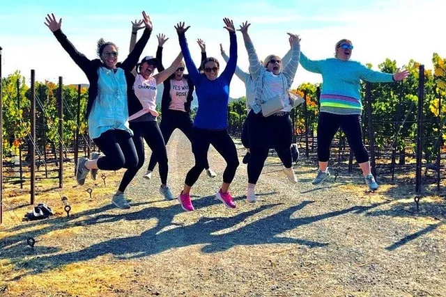 Napa Valley Bike Tour with Wine Stops 4 hr - Image 3