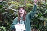 Kailua-Kona Birding Tour in Cloud Forest 2 hr thumbnail 4