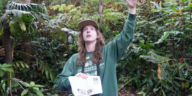 Kailua-Kona Birding Tour in Cloud Forest 2 hr - Image 4