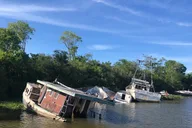 New Orleans Kayak Bayou Swamp Tour thumbnail 4