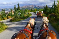 Healy Horse-Drawn Wagon Ride with Dining 3 hr thumbnail 2
