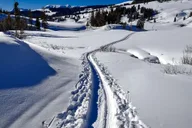 Gardiner Yellowstone Cross-Country Ski Tour thumbnail 5