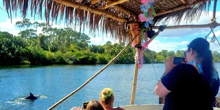 Cocoa Beach Dolphin Sightseeing Tour 2 hr